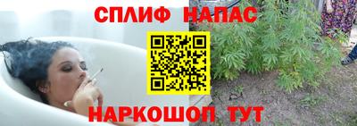 метадон Бийск