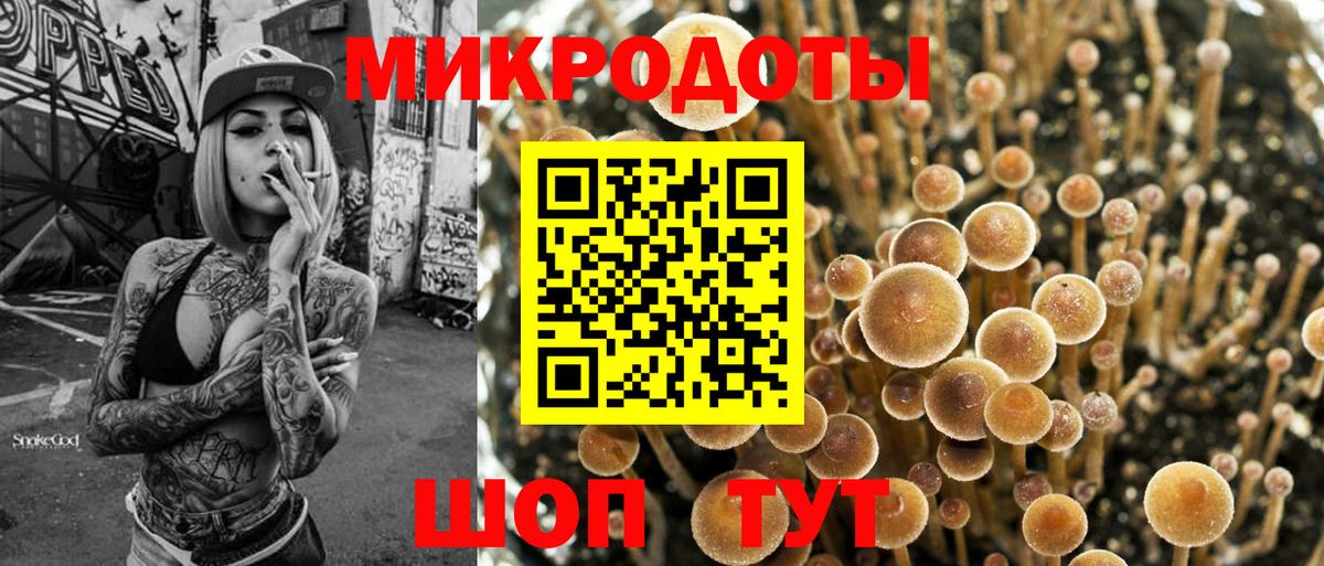 Псилоцибиновые грибы Psilocybe  цены наркотик  Архангельск  Псилоцибиновые грибы MAGIC MUSHROOMS  Вход с VPN 
